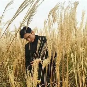 风景高清 归去如风_男生头像海边男头像背影高清侧脸伤感 帅哥必用的