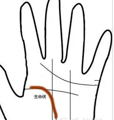 生命线长短有什么特殊的意义