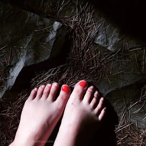 赤脚-雪莉喜欢花