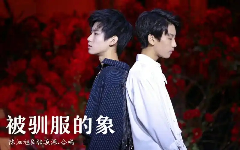 陈泗旭张真源合唱蔡健雅老师的被驯服的象