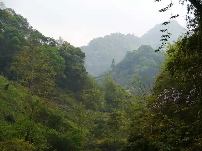 云桂黔川十万大山