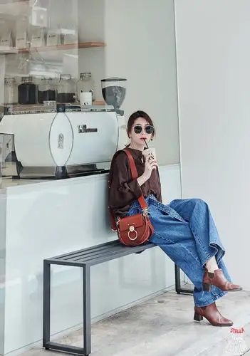 chloe tess bag艺人名人都在背,克洛伊马鞍包明星街拍!_包包