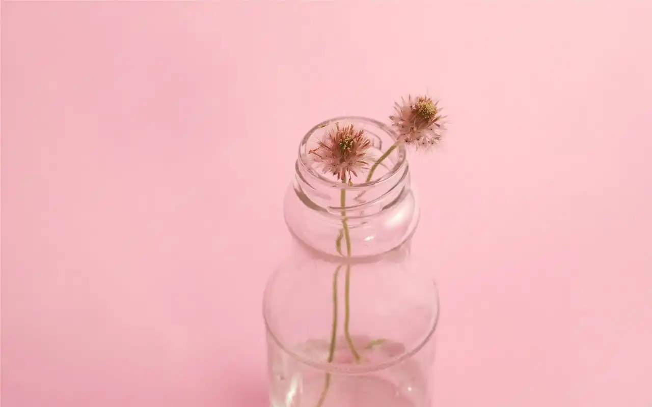 简约唯美静物高清桌面壁纸高清大图预览1920x1080_风格壁纸下载_美桌