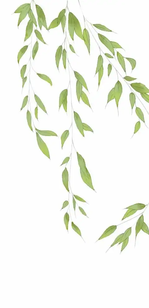 中国复古风##仙侠风##工笔画# 桃花 花卉 png素材 #免抠ps# 后期