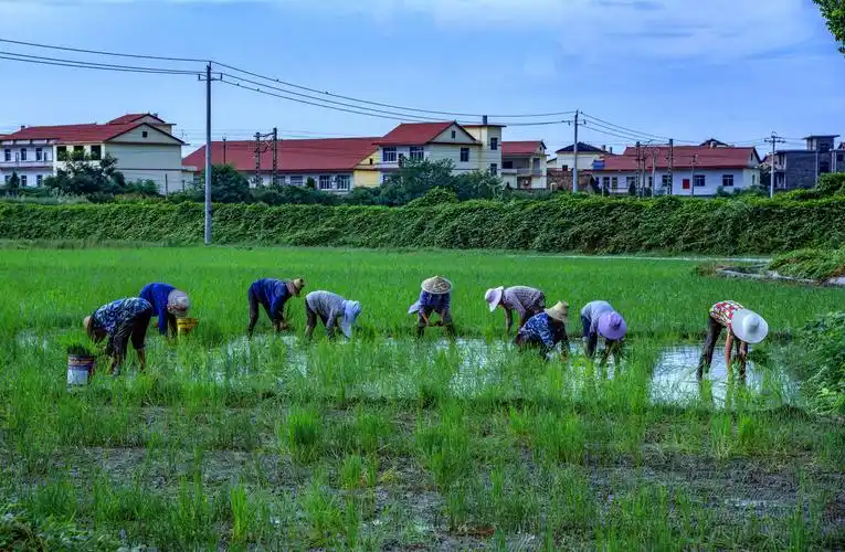 新农村,新风貌.