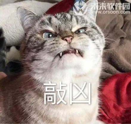 宇宙超凶loki猫搞笑表情包 高清无水印版