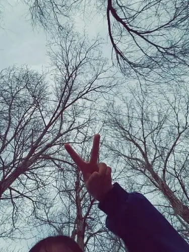 沧桑背景下的剪刀式0