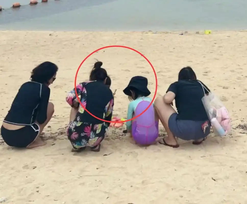 林心如夫妇带女儿日本旅游小海豚在海边玩沙子霍建华细心看护