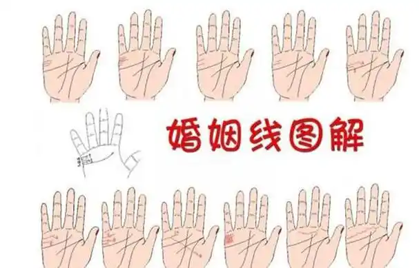 婚姻线,看你婚姻早晚,知你婚姻运势,为什么离婚