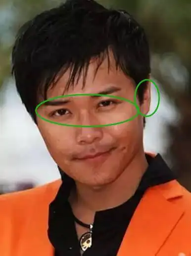 陈思诚(大小眼,耳反,眼尾开花,炸)如:文章(大小眼,鼻头大,右耳反骨,眼