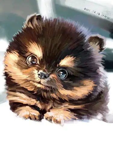 xue wawa 超级有爱的动物插画欣赏 萌 手绘 可爱 动物 二次元 cg