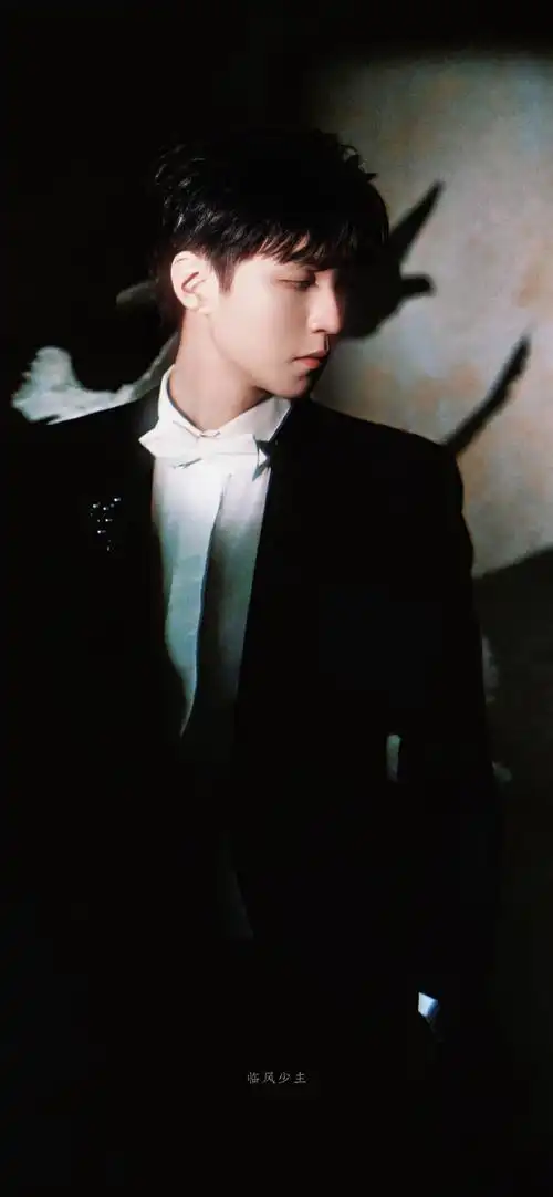 神性的浪漫9415    王俊凯壁纸#王俊凯和鸽子合照