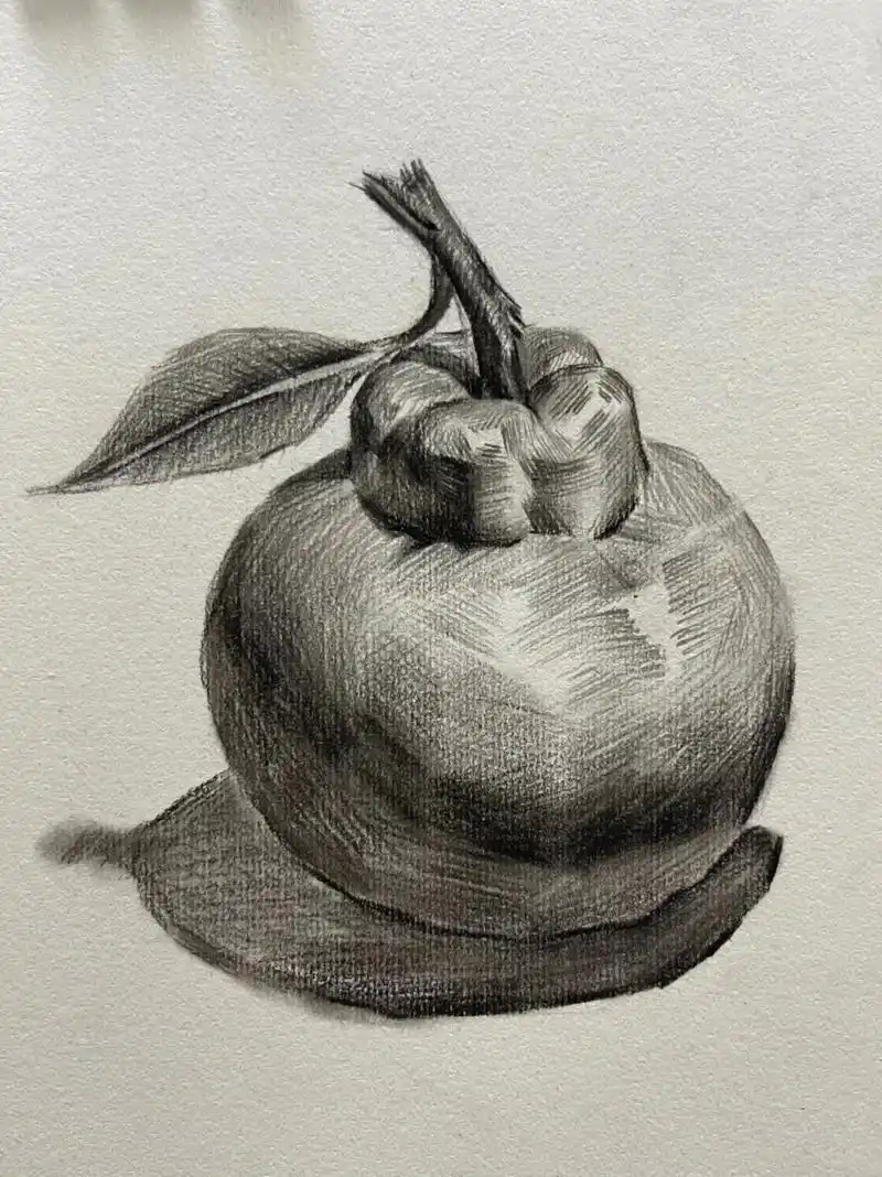 零基础学画画 #想画就画.素描鲜橙 #每日一画 夏天快要过 - 抖音