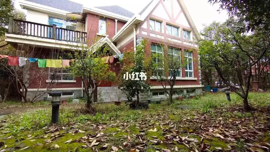 松江独栋别墅天花板泰晤士小镇