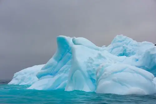 南极之旅(三)浮冰