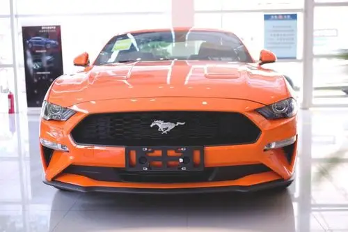 经典的马形车标,也被称之为福特野马