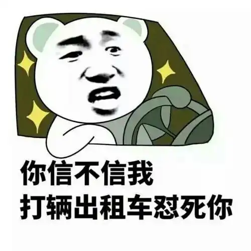 你信不信我打辆出租车怼死你