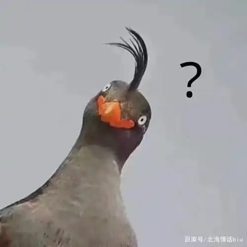 2020年最新搞笑逗比微信头像,总有你喜欢的