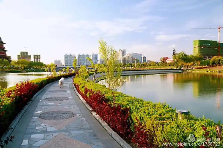 滨河公园六月天