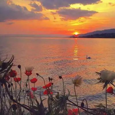 好看的风景唯美头像个性可爱风景头像大全