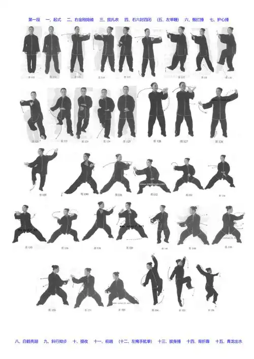 56式陈氏太极拳图谱