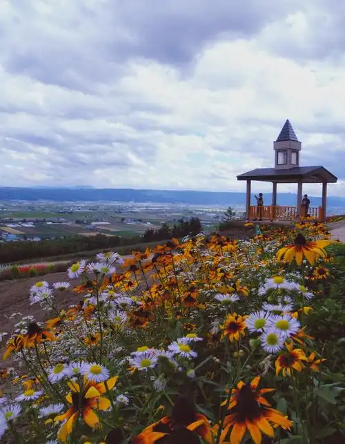 《非诚勿扰》让大众认识了唯美的北海道彩虹花海,我便跟随着电影找寻