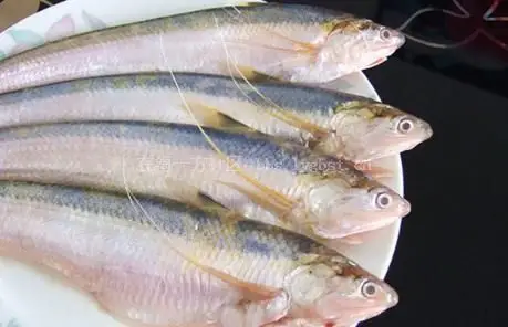 长江刀鱼上市 3两重的每斤超4000元