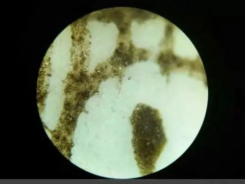 刘进武 : 清乾隆款珐琅彩加粉彩花蝴蝶葫芦瓶微观痕迹鉴定凭证(wj)