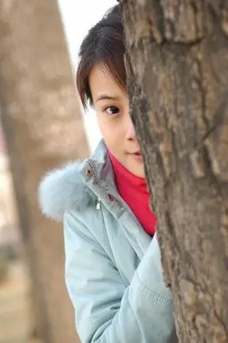 超级女声三足鼎立林爽年底pk李宇春张靓颖图