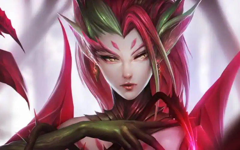 婕拉这个英雄本身的定位是辅助和中单法师,妮蔻虽然是个万精油但是各