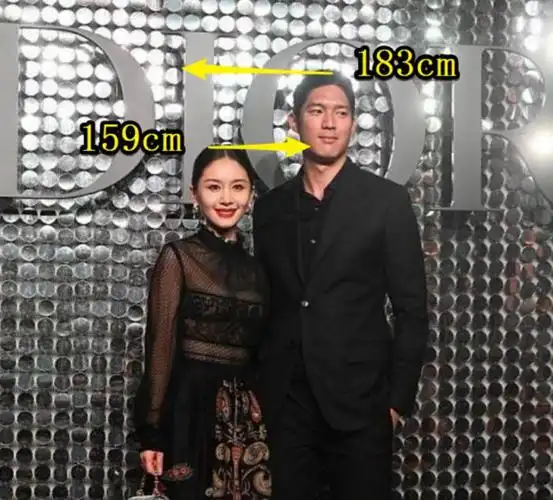 站在其身边就显得异常的娇小,和大家想象中的画面还是有很大的差距的