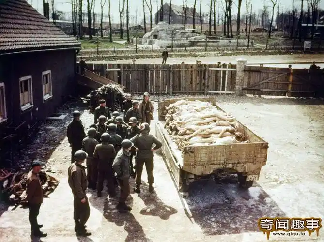 黑暗时代:二战纳粹令人发指的暴行