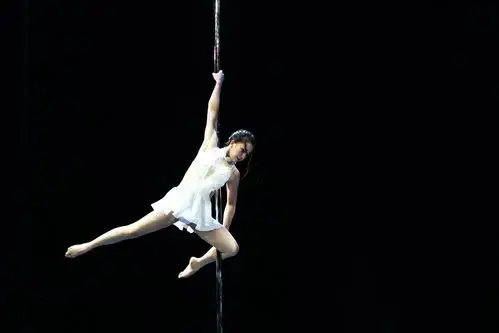 2018第8届中国钢管舞锦标赛