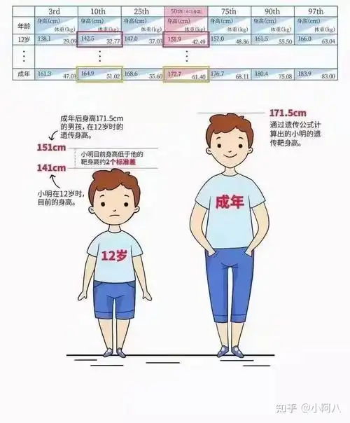 对骨骼未闭合的青少年的长高建议