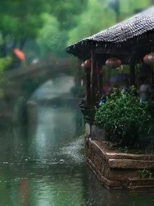 又到《烟雨江南》时,美醉了!