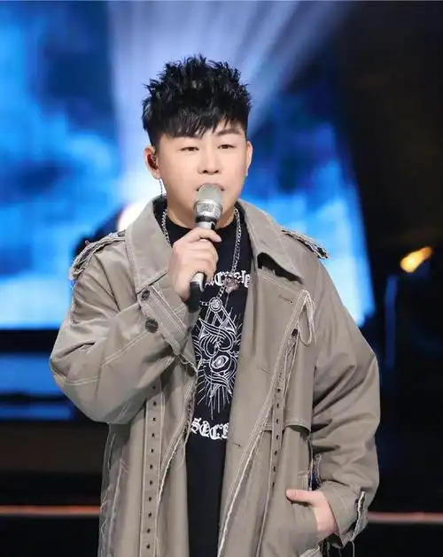 胡彦斌歌手个人资料