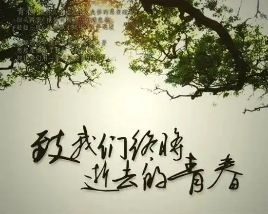 致我们终将逝去的青春青春是用来怀念的