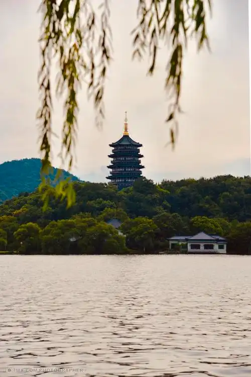 杭州西湖雷峰塔 风光 风景 春天 西湖 夕阳 湖 杭州 夏天 雷峰塔 午后