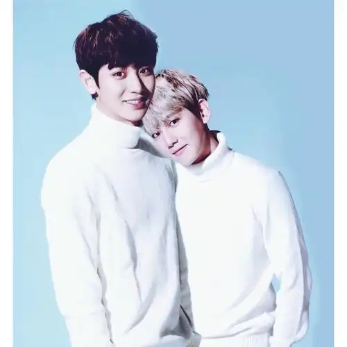 exo灿白朴灿烈边伯贤明星美男