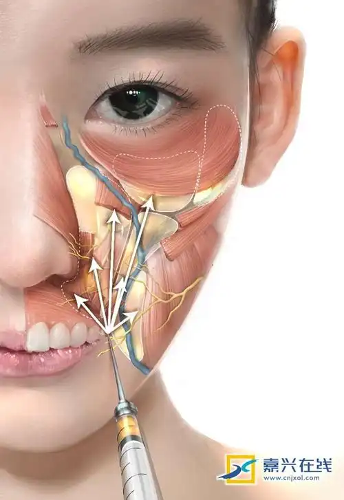 这幅面部结构解剖图是周舒扬最满意的作品,模特就是他的妻子.