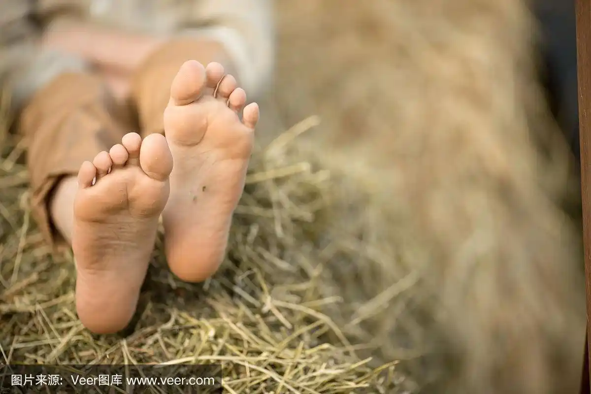 顽皮的赤脚的一个乡村男孩在干草.