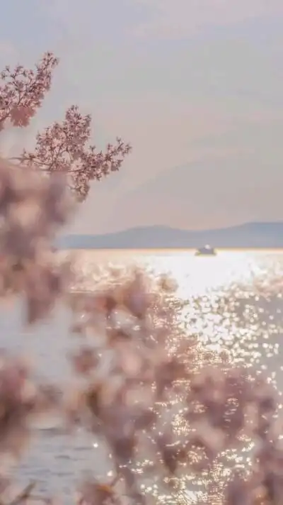 治愈系背景图:你是山间游荡的精灵 我是终身守护你的灵神.