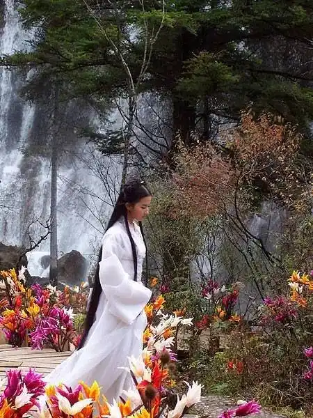 一夜凋零——很多年过去,那一版《神雕侠侣》里让人永不能忘的好像只