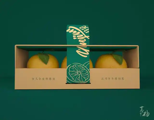 青柚设计x月见包豪斯简约工艺风柚子水果包装设计礼盒结构设计