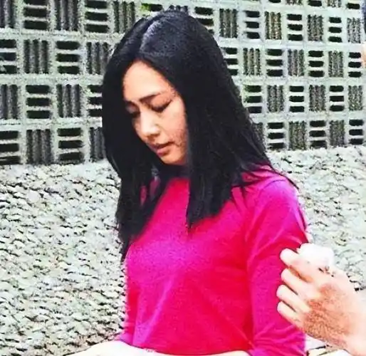 刘德华赖文慧关系曝光,除了结婚证啥都给了_舞台_朱丽倩_合作