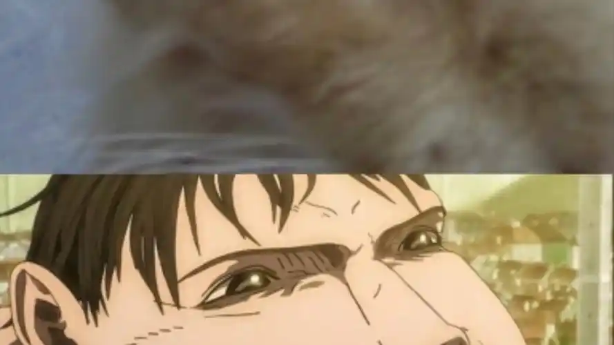 猜猜哪个是车力巨人?