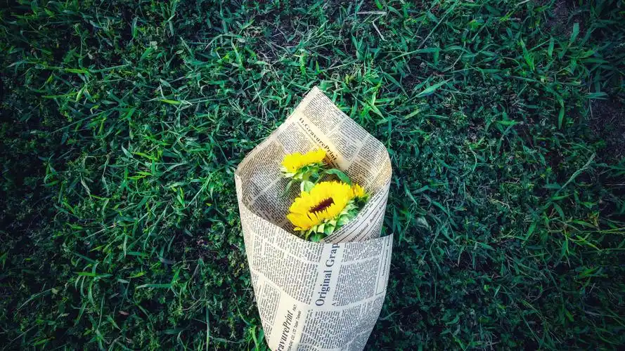 一捧向日葵(小清新静态壁纸) - 静态壁纸下载 - 元气壁纸