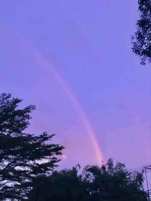 朋友圈里晒生活,你的段位几何?