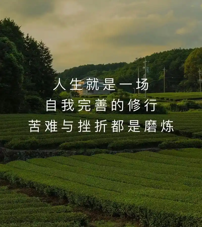 人生就是一场自我完善的修行 苦难与折磨都是磨练