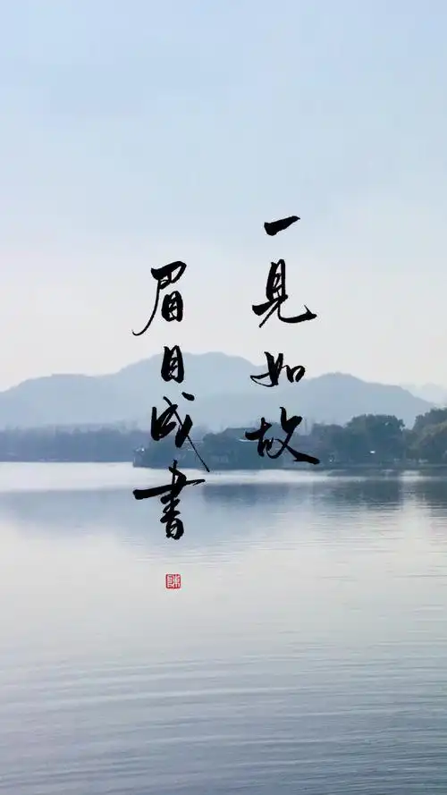 " 一见如故 眉目成书 "(.